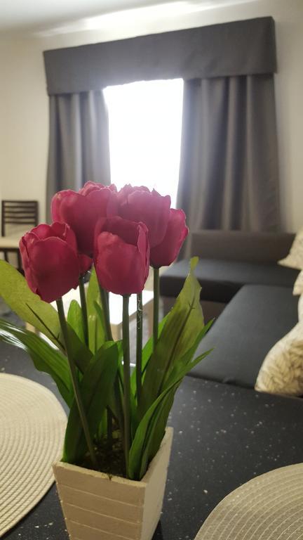 Dalia Apartament Vecindario (Gran Canaria)